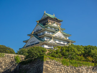 Fototapeta premium Osaka castle ,Japan
