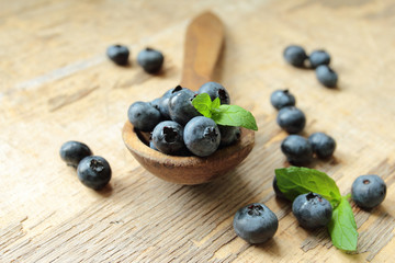 Fresh blueberries fruits on a spoon with mint leafs
