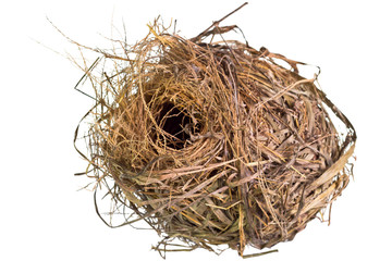 Bird 's nest