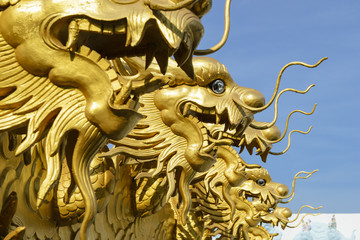 Fototapeta na wymiar Chinese gold dragon