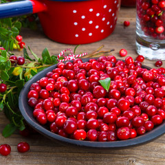 Lingonberries