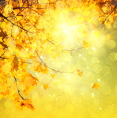 Autumn. Blurred abstract autumnal background