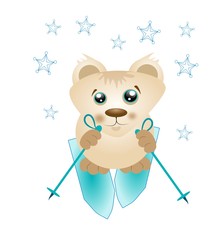Cute bear on ski