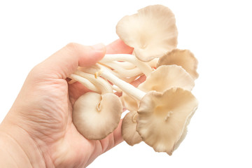 Fototapeta premium Mushroom in hand
