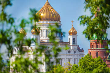 Fototapeta na wymiar Cathedral of Christ the Savior with trees leaves