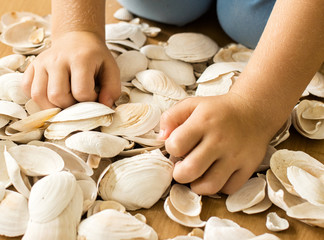 hände greifen muscheln
