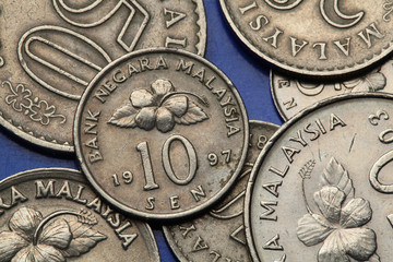 Coins of Malaysia © Vladimir Wrangel