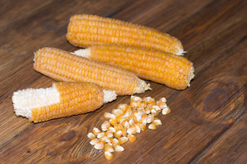corn