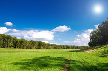 romantische Landschaft, Wiese, Sonne, grün