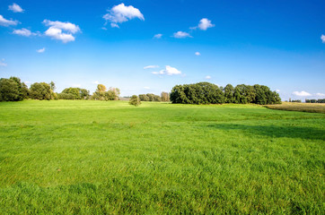 grüne Wiese, schöne Landschaft