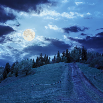 path to mountain forest in moon light
