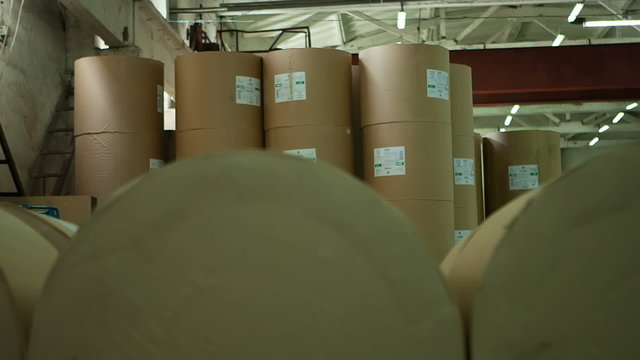 Paper rolls for rotary