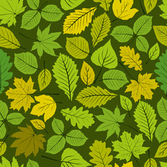 Different leaves seamless pattern, vector natural endless backgr