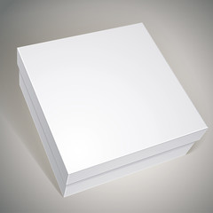 Package white box design, template for your package design, put