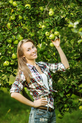 Woman in a sunny apple tree garden during the harvest season