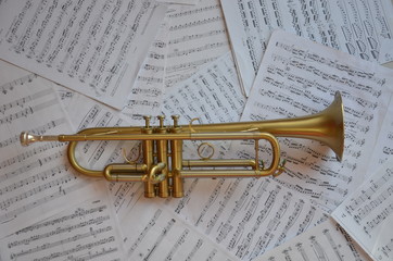 Obraz premium Trompette instrument de musique cuivre
