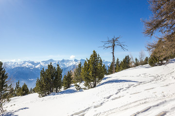 Paesaggio invernale di montagna