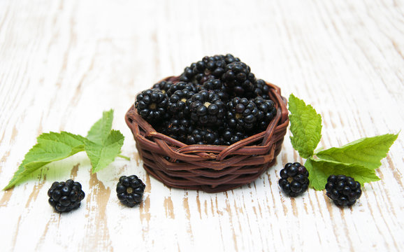 Basketl of Blackberries
