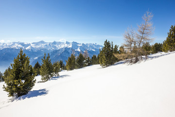 Paesaggio invernale di montagna