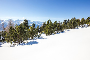 Paesaggio invernale di montagna