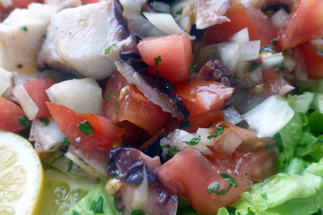 Oktopussalat mit Tomaten