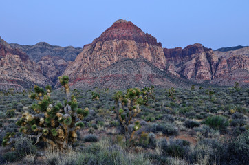 interesting rock formations at the Red Rock