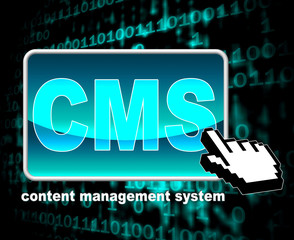 Content Management System Means World Wide Web And Websites