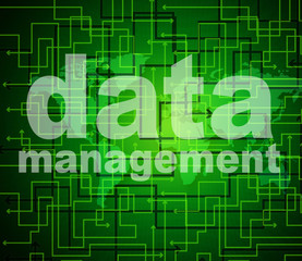 Management Data Represents Organization Authority And Managing