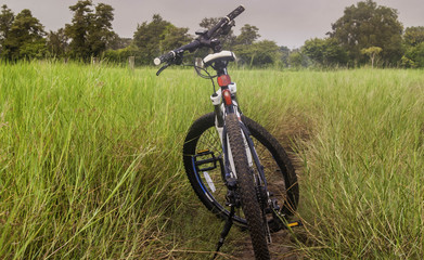 Bicycles and fields