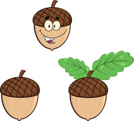 Acorns Cartoon Illustrations