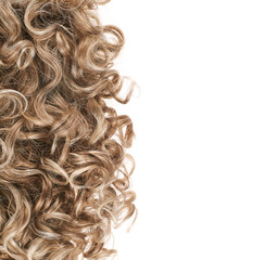 Hair fragment over the white