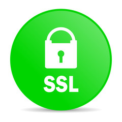 ssl internet icon