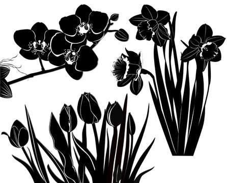 black flowers on white background clip art preview
