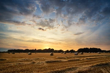 Wall murals Summer Rural landscape image of Summer sunset over field of hay bales