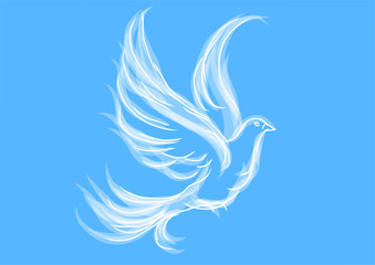 dove on blue
