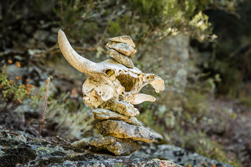 Cairn using a skull to mark trail in Corsica