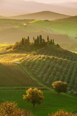 The beautiful Tuscan countryside around San Quirico d'Orcia, Ita - obrazy, fototapety, plakaty