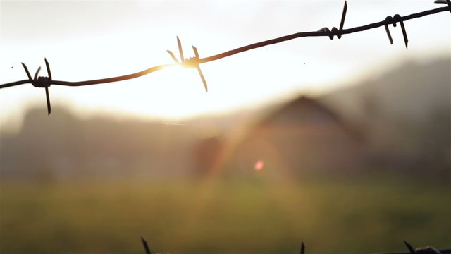 Barbed wire