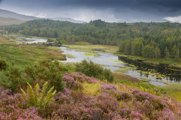 Highlands and Loch