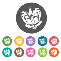 Lotus icon. Flower icon set. Round  colourful 12 buttons. Vector