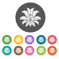 Peony icon. Flower icon set. Round  colourful 12 buttons. Vector