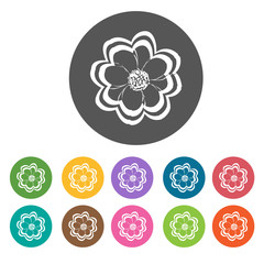 Zinnia icon. Flower icon set. Round  colourful 12 buttons. Vecto
