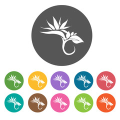 Iris icon. Flower icon set. Round  colourful 12 buttons. Vector