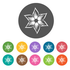 Random blooming flower icon. Flower icon set. Round  colourful 1