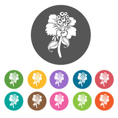 Lavender icon. Flower icon set. Round  colourful 12 buttons. Vec