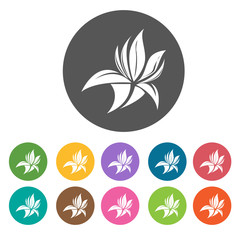 Water flowering plant icon. Flower icon set. Round  colourful 12