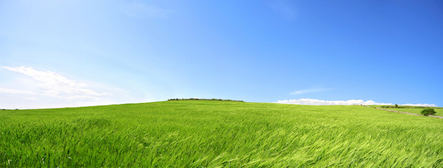 Collina con prato verde e cielo azzurro - Terra - Pianeta verde