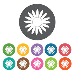 Flower petal icon. Honey relate icon set. Round colourful 12 but