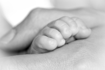 Closeup of tiny foot in dad's hand