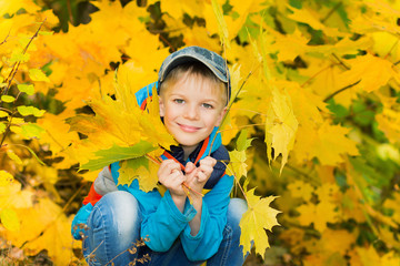 boy with autumn leaves